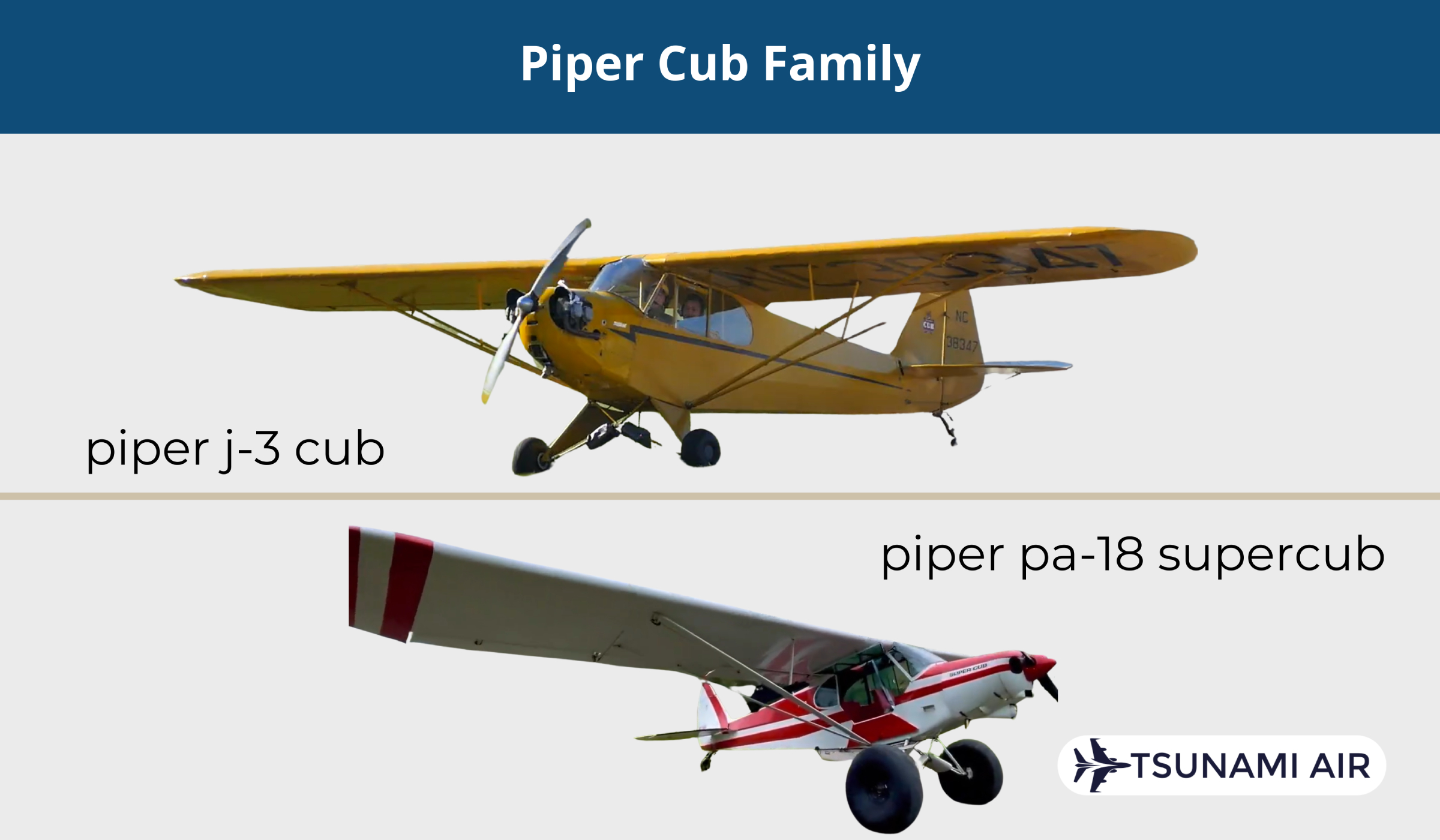 Piper Cub family