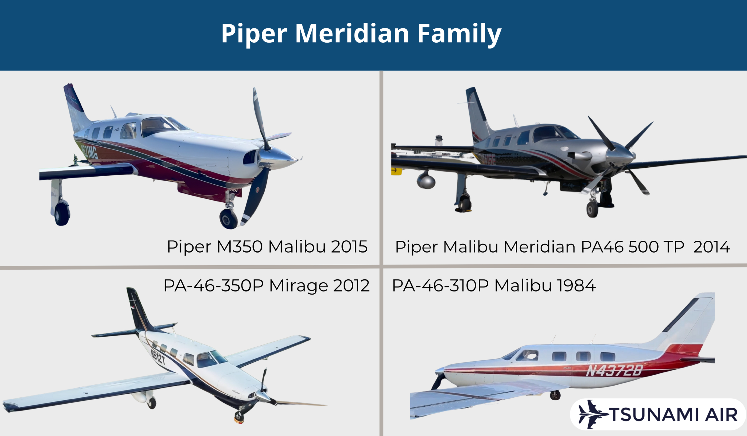 piper meridian family pictures